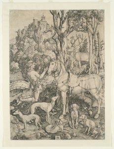  von Albrecht Dürer