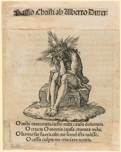  von Albrecht Dürer