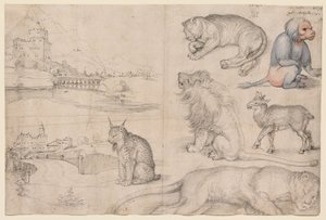 Skizzen von Tieren und Landschaften von Albrecht Dürer