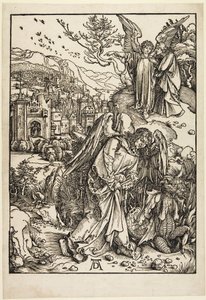  von Albrecht Dürer