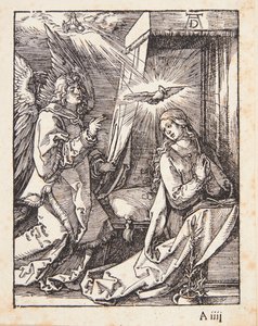  von Albrecht Dürer