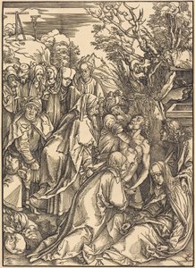  von Albrecht Dürer