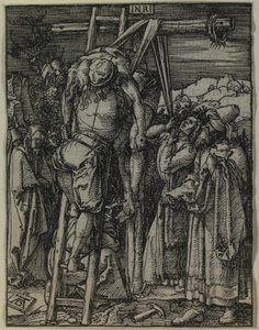  von Albrecht Dürer