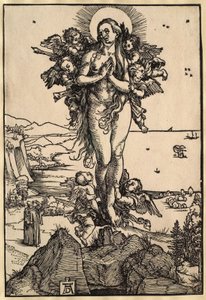 von Albrecht Dürer