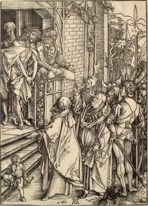  von Albrecht Dürer