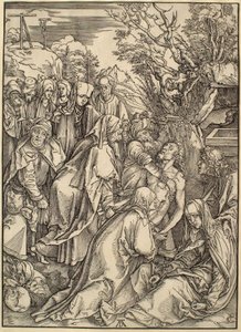  von Albrecht Dürer