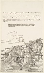  von Albrecht Dürer
