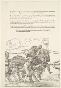  von Albrecht Dürer