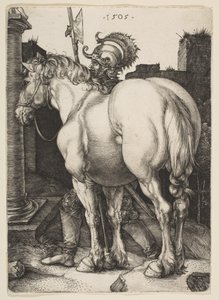 Das große Pferd von Albrecht Dürer