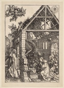  von Albrecht Dürer