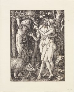  von Albrecht Dürer