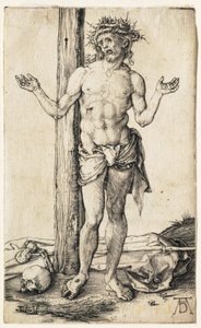  von Albrecht Dürer