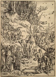  von Albrecht Dürer
