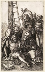  von Albrecht Dürer