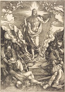  von Albrecht Dürer