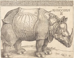 Das Nashorn von Albrecht Dürer