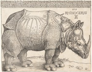  von Albrecht Dürer