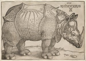  von Albrecht Dürer