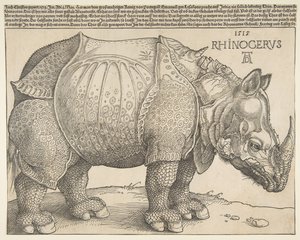 Das Nashorn