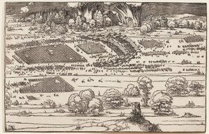  von Albrecht Dürer