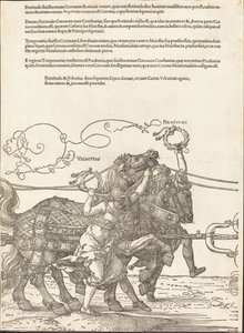 Der Triumphwagen von Maximilian I. (Der große Triumphwagen) [Platte 5 von 8]