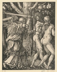  von Albrecht Dürer