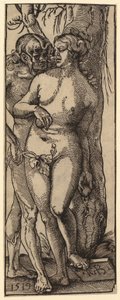  von Albrecht Dürer
