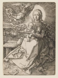  von Albrecht Dürer