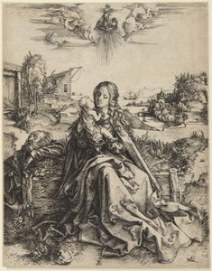 Jungfrau und Kind mit einer Libelle von Albrecht Dürer