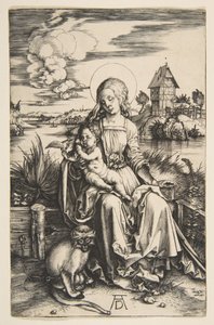 Jungfrau und Kind mit dem Affen von Albrecht Dürer