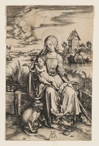  von Albrecht Dürer