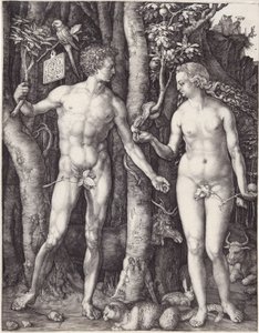 Adam und Eva, veröffentlicht 1504 (Gravur) von Albrecht Dürer
