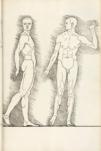 Anatomischer Holzschnitt aus Hierinn sind begriffen vier Bücher von menschlicher Proportion, 1528