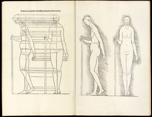 Frau mit Stab, anatomischer Holzschnitt aus Hierinn sind begriffen vier Bücher von menschlicher Proportion, 1528