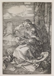 Madonna mit der Birne von Albrecht Dürer or Duerer