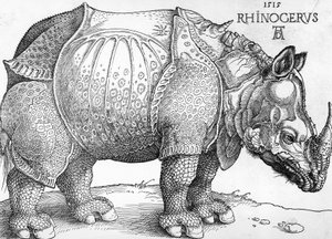 Nashorn von Albrecht Dürer