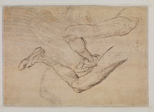 Studie eines linken Beins aus zwei Blickwinkeln von Albrecht Dürer