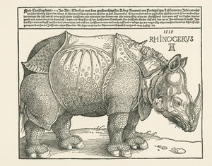 Das Nashorn von Albrecht Dürer or Duerer