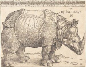 Das Nashorn von Albrecht Dürer