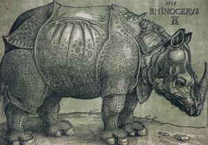 Das Nashorn, 1515