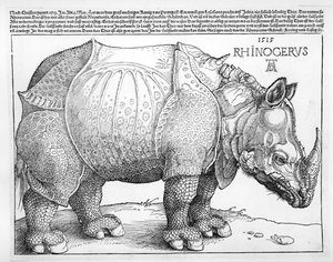 Das Nashorn, 1515