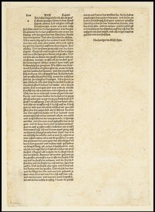 Rückseite der Apokalypse, Heiliger Michael kämpft gegen den Drachen, 1497
