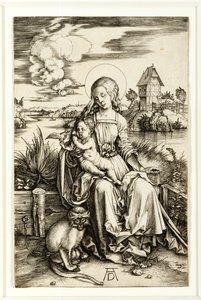 Jungfrau und Kind mit Affe von Albrecht Dürer