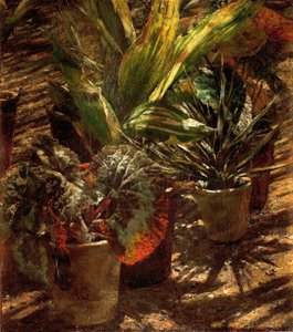 Begonien von Aleksander Gierymski