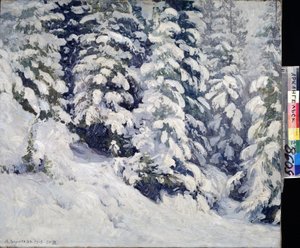 Wald im Winter von Aleksandr Alekseevich Borisov