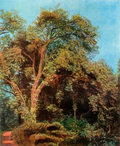 Baum im Park, Mitte des 19. Jahrhunderts, 1965 von Aleksandr Ivanov