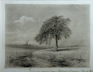 Landschaft mit Windmühle von Alexei Kondratjewitsch Sawrassow