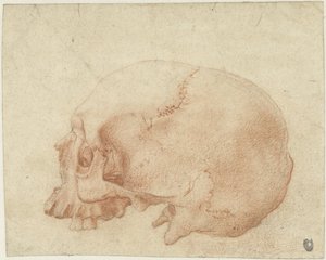 Studie eines Schädels von Alessandro Allori