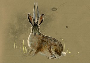 Fantastische Monster und Kreaturen, Kryptozoologie: Darstellung eines Jackalope, legendäres Tier halb Hase halb Antilope - Zeichnung von Alessandro Lonati, 2012