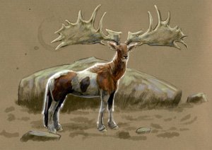 Fantastische Monster und Kreaturen, Kryptozoologie: Darstellung eines Hippocerfs